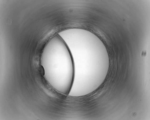 X0000093150072200710241411