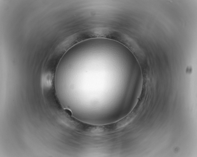 X0000093150075200710241411