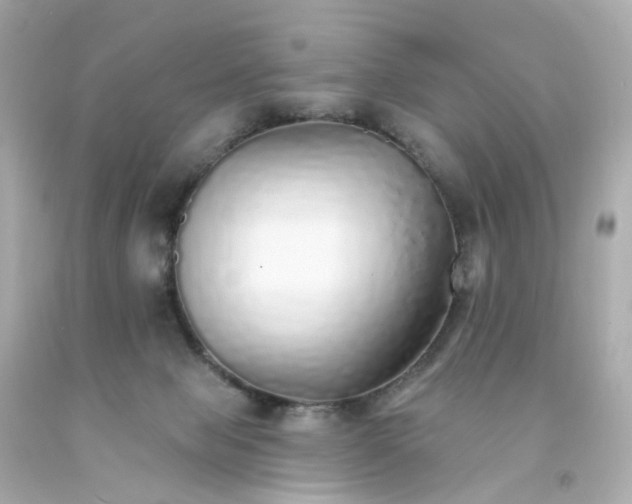 X0000093150077200710241411