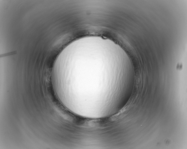 X0000093150078200710241411