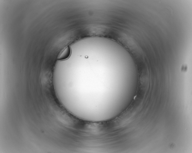 X0000093150079200710241411