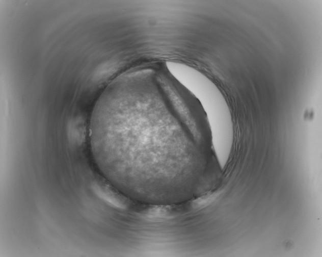 X0000093150080200710241411