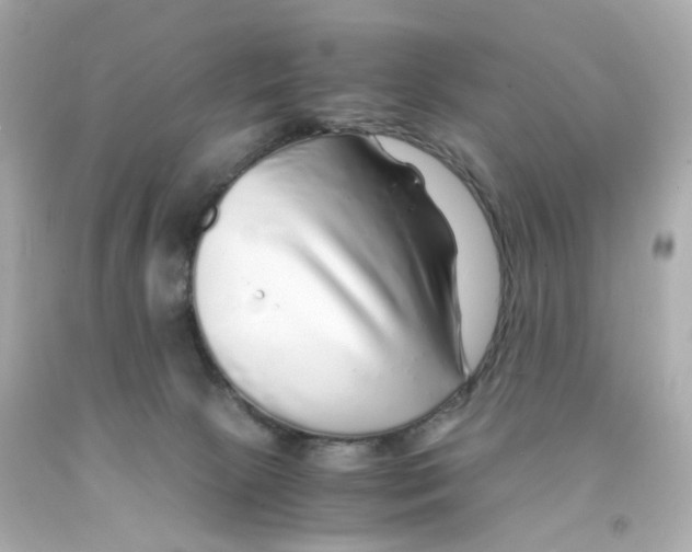 X0000093150081200710241411