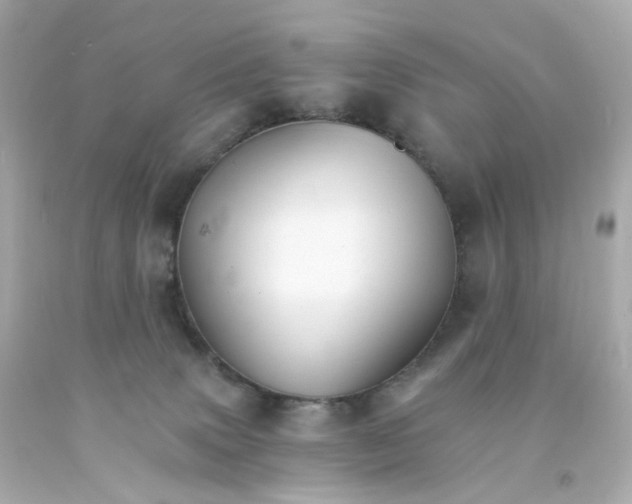 X0000093150083200710241411