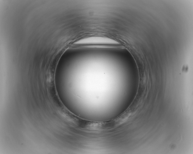 X0000093150084200710241411