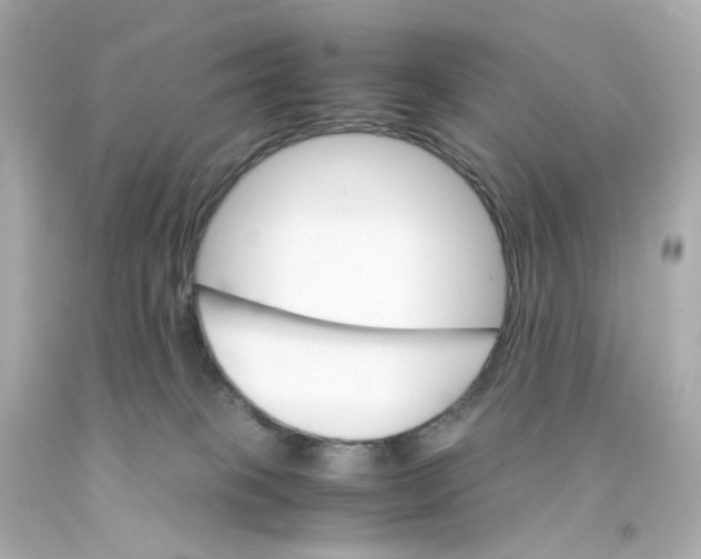 X0000093150085200710241411