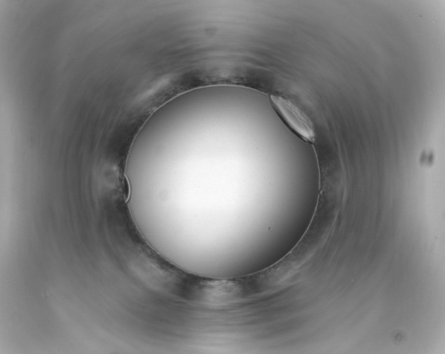 X0000093150087200710241411