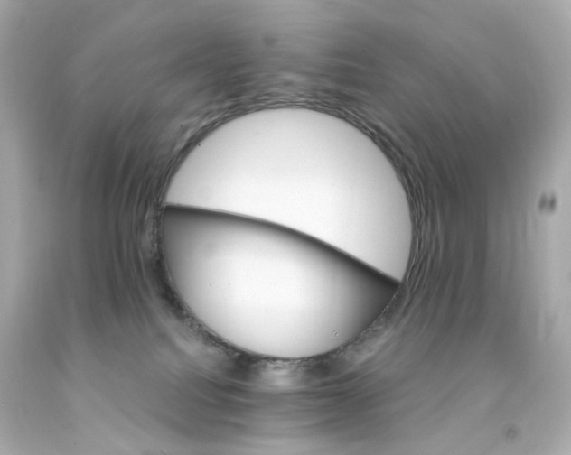 X0000093150088200710241411