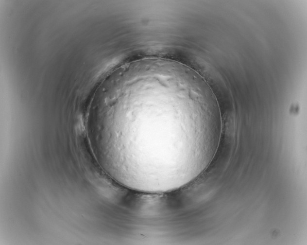 X0000093150089200710241411