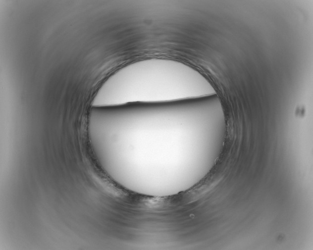 X0000093150092200710241411