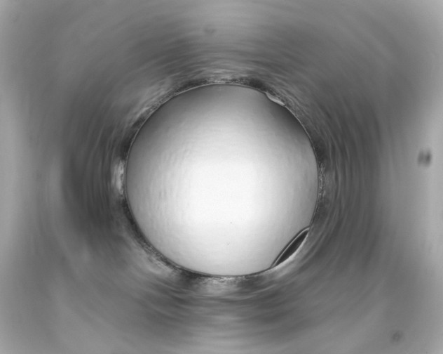 X0000093150094200710241411