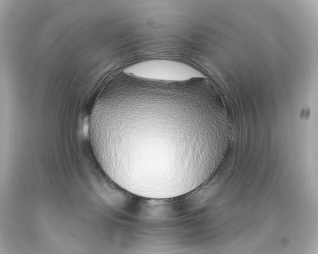 X0000093150095200710241411