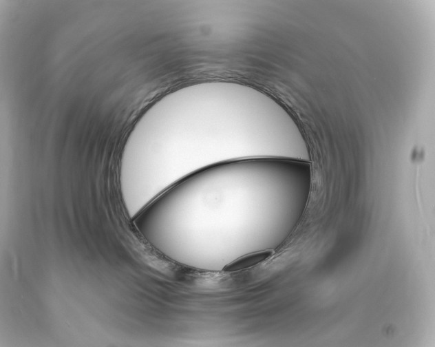 X0000093150096200710241411