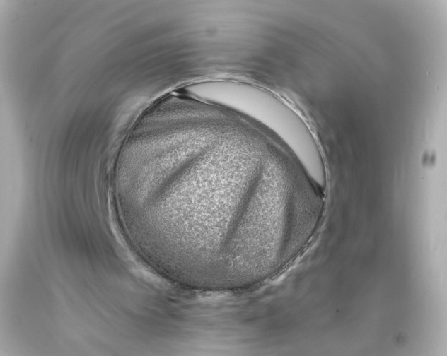 X0000093150097200710241411