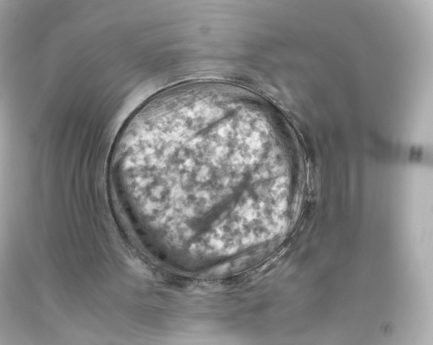 X0000093150099200710241410