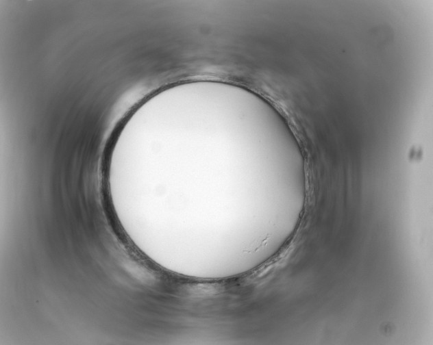 X0000093150102200710241410