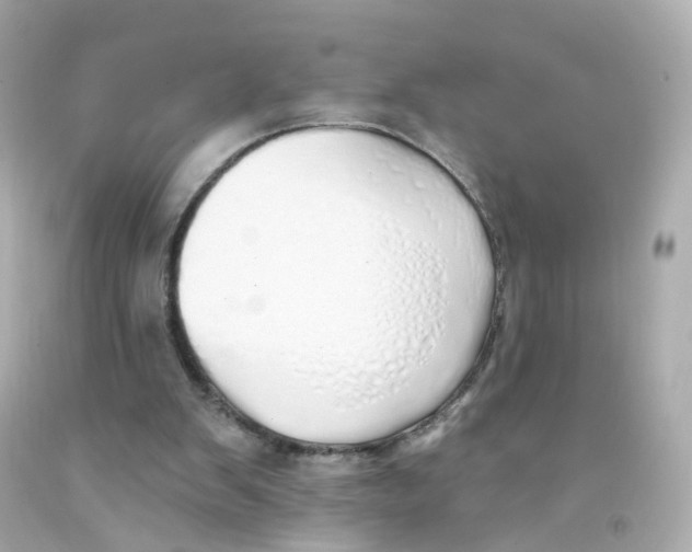 X0000093150103200710241410