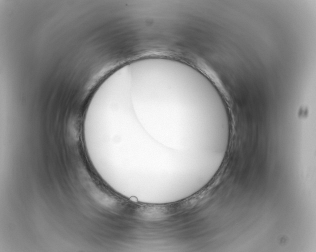 X0000093150106200710241410