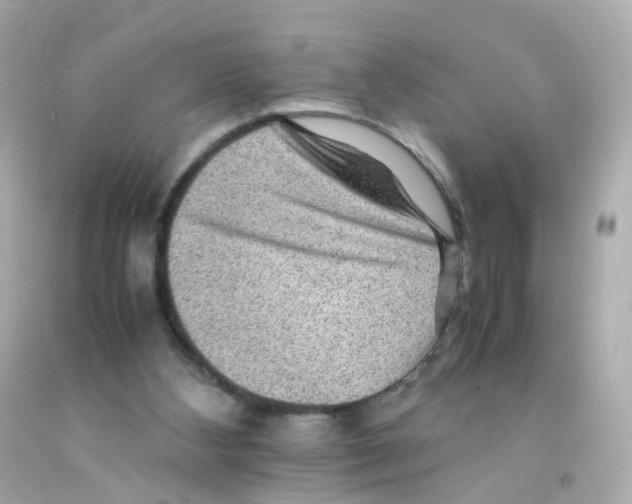 X0000093150108200710241410