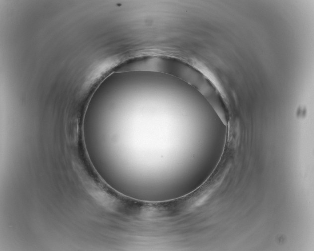 X0000093150109200710241410