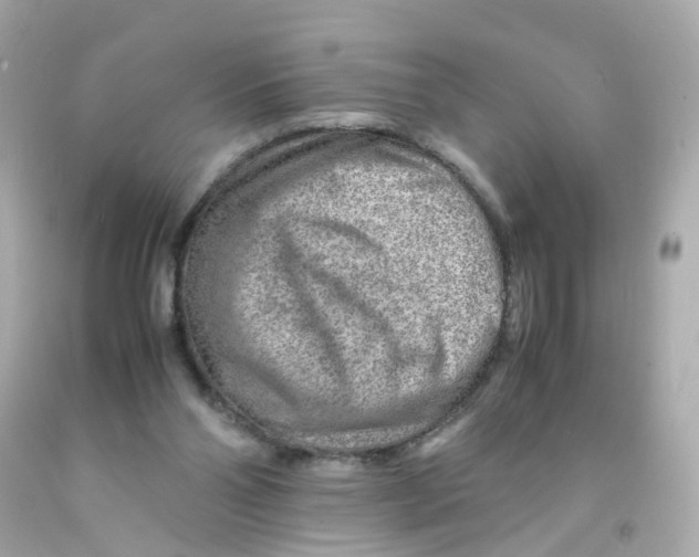 X0000093150110200710241410