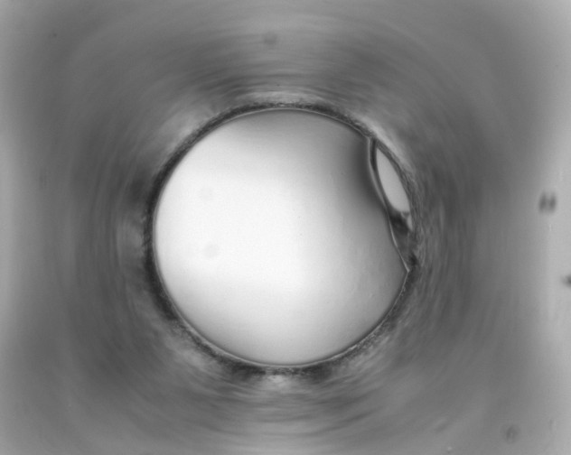 X0000093150111200710241410