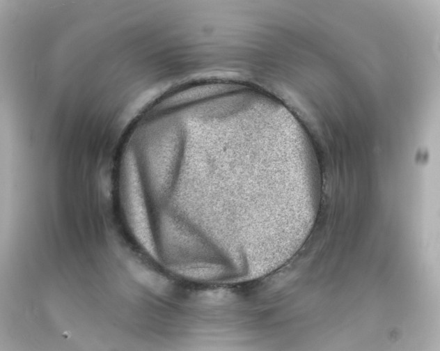 X0000093150112200710241410