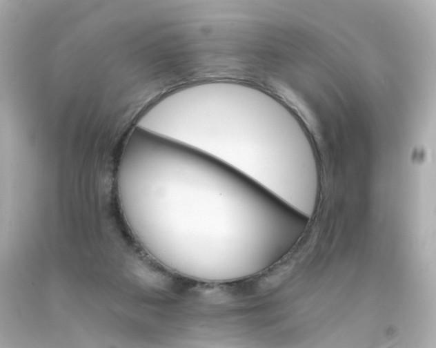 X0000093150113200710241410