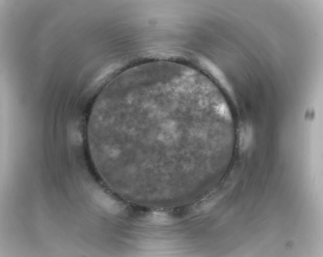 X0000093150114200710241410