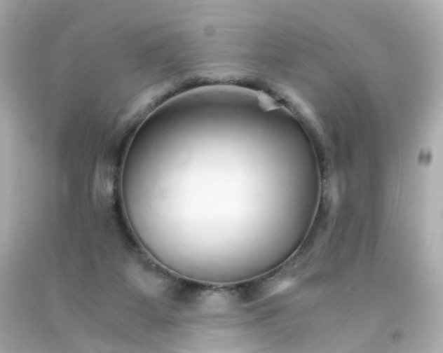 X0000093150115200710241410