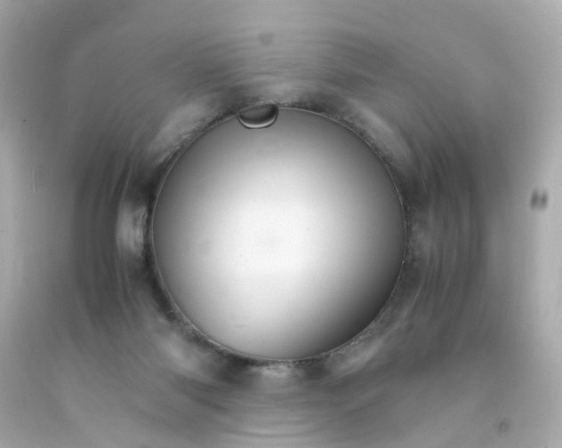 X0000093150118200710241410