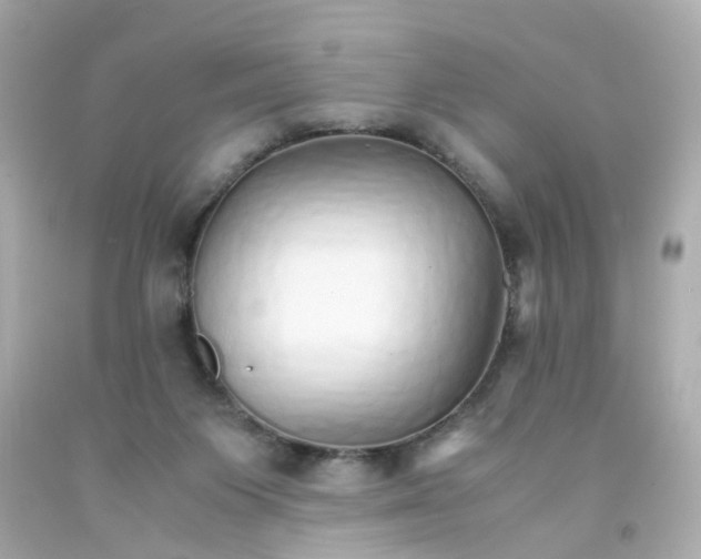 X0000093150119200710241410