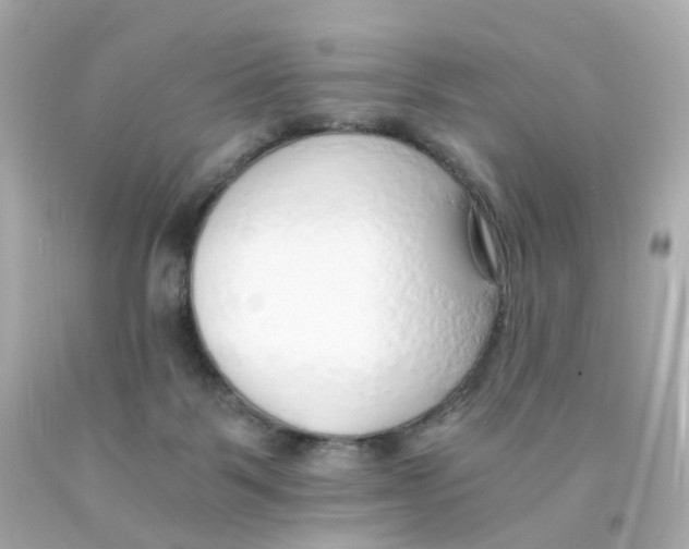 X0000093150123200710241410