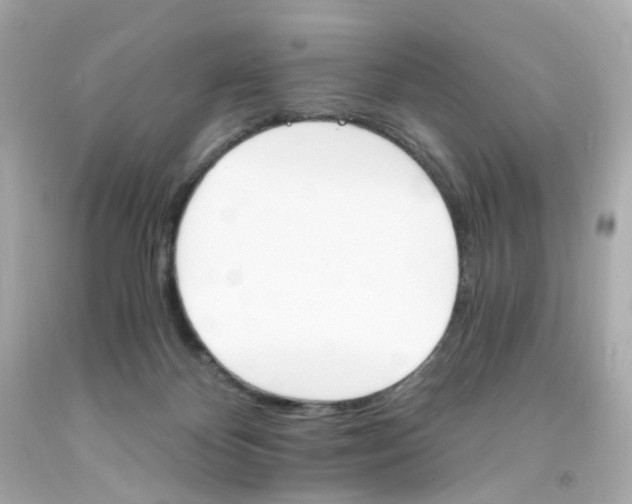 X0000093150124200710241410