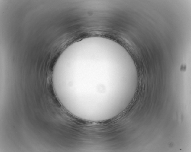 X0000093150125200710241410