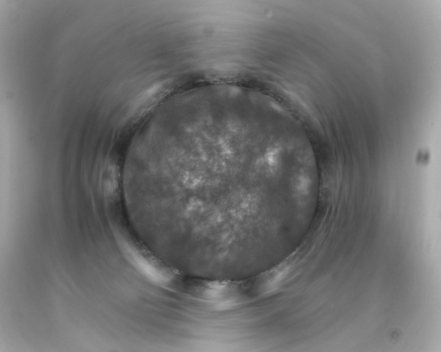 X0000093150130200710241410