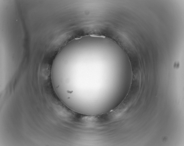 X0000093150133200710241410