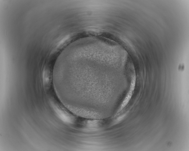 X0000093150134200710241410