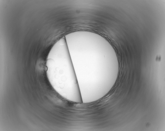 X0000093150135200710241410