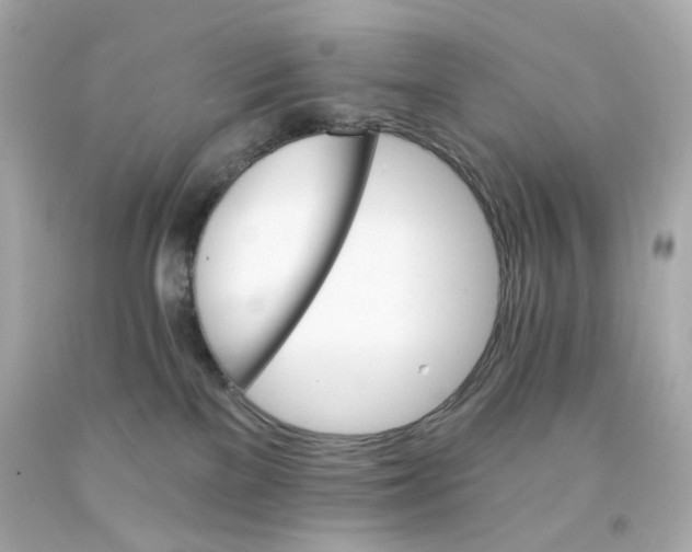 X0000093150137200710241410