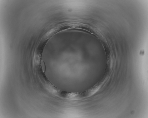 X0000093150139200710241410