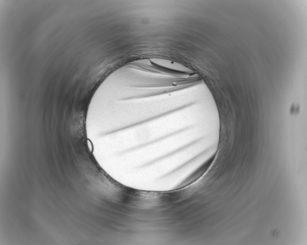 X0000093150144200710241410