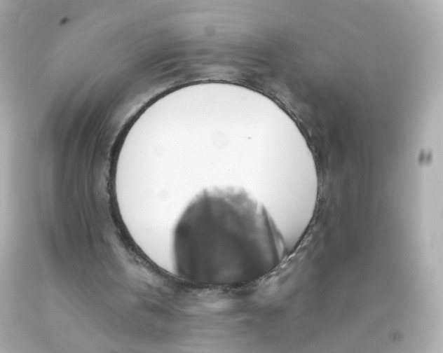 X0000093150146200710241409