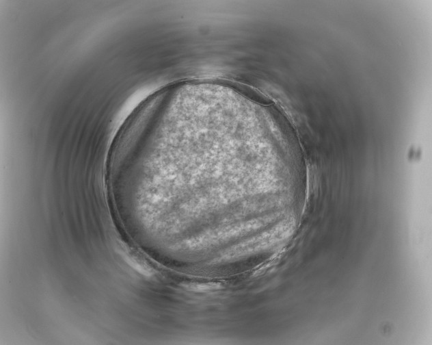 X0000093150147200710241409