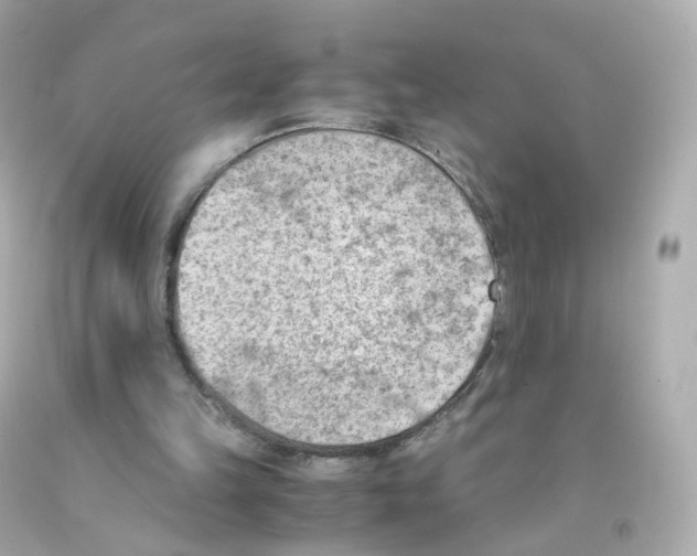 X0000093150149200710241409