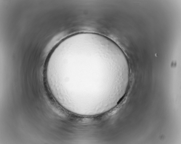 X0000093150151200710241409