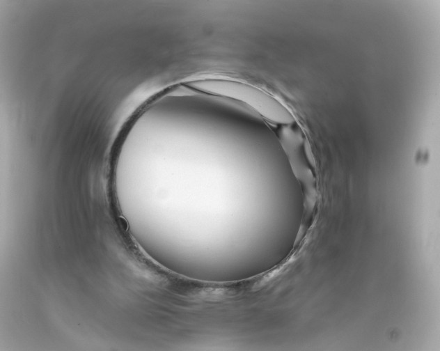 X0000093150152200710241409