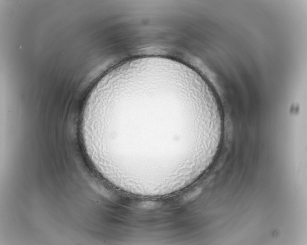 X0000093150153200710241409