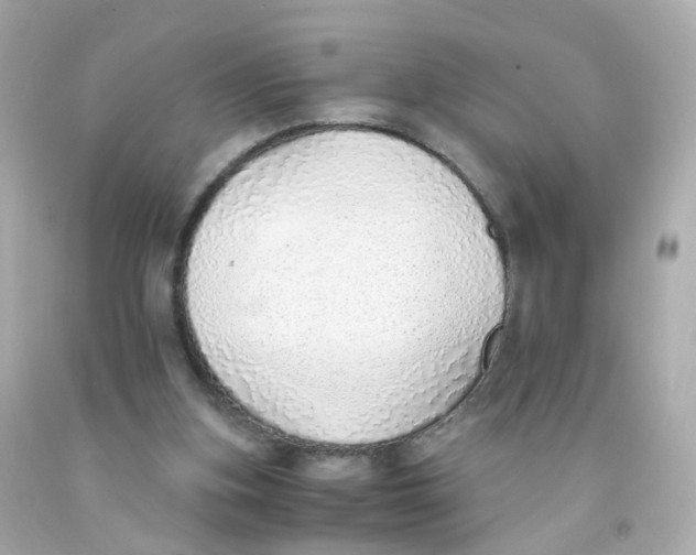 X0000093150155200710241409