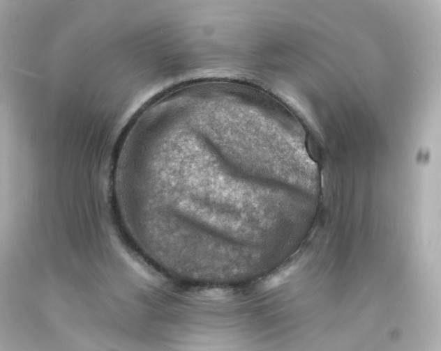 X0000093150156200710241409